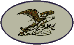 Civil War Eagle Logo